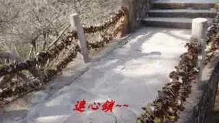 神奇黃山：奇松怪石篇