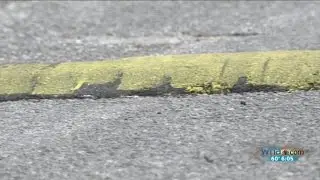 Neighbors have speed bumps installed - without permission