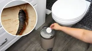 Wattepads unter den M&uuml;lleimer! Silberfische FLIEHEN SOFORT AUS Ihrem Bad! (Der Giftfreie Trick!)