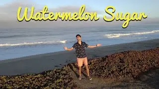 Watermelon Sugar - Cover by Anant Maheshwari | Harry Styles | Fine Line