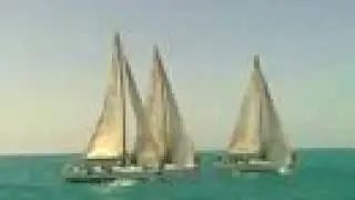 SAILING ANARCHY Swan 42  KWRW