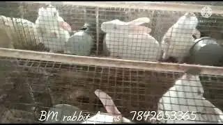 water drip system in rabbit farm || BM rabbit farms || Prakruthi Creations