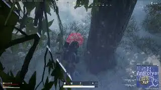 Chill play | PUBG