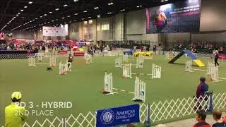 Game - 2017 AKC Agility Invitational 12