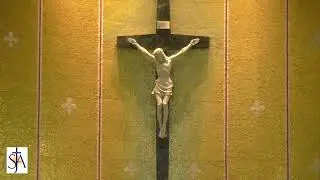 Daily Mass November 26, 2025