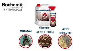 Curatare lemn innegrit cu solutia Bochemit Antimucegai