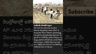 #mgnrega #payment #update
