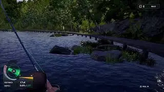 Trying to catch some monsters on euro fishing 👌