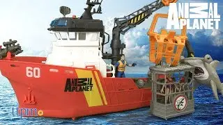 Animal Planet Deep Sea Shark Research Playset from Toys R Us