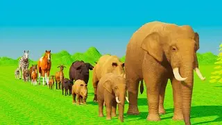 Long Slide Game With Cow Elephant Gorilla Hippopotamus Tiger 3d Animal Games Funny Horses Animals