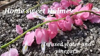 Flower infused water and vinegar with the kids