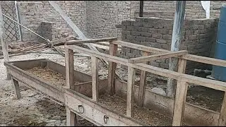 Goat Farming on the Roof 19.01.26