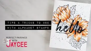 Tips & Tricks to Use with Alphabet Stamps | Altenew Perfect Pairings with Jaycee