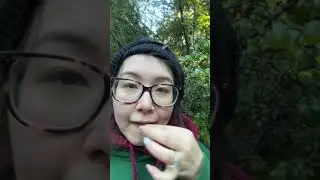 Picking a Xmas tree for the cabin 🌲 #offgrid #offgridliving #cabin #cabinliving #cottagecore #home