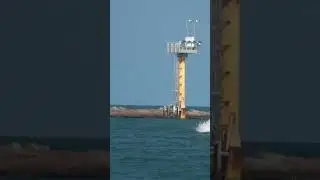 Dolphin surfing the Tanker wave! 🐬💦