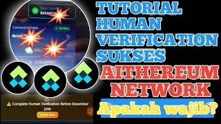 УЧЕБНОЕ ПОСОБИЕ ПО УСПЕШНОЙ ПРОВЕРКЕ ЧЕЛОВЕКОМ ✅ ОБЯЗАТЕЛЬНА ЛИ ОНА | 🤔 СЕТЬ AITHEREUM
