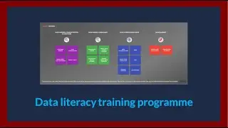 Aim's Data Literacy Training Programme
