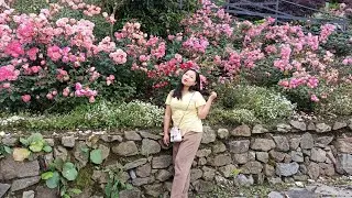 Namchi Rose Garden solophok🌹 |Day to remember | We ate too much 🍜😁