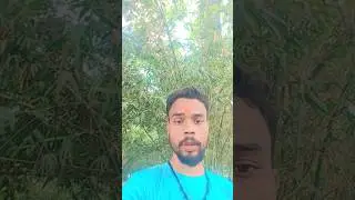 🙏chhath Puja 🍌🍎#chhathpuja #chhathvideo #chhathreels #puja #chhathimaiya