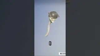 TEN ZBIERAK POSIADA ANIMACJE LEVIATHANA I KOSZTUJE TYLKO 800 V-DOLC&Oacute;W !
