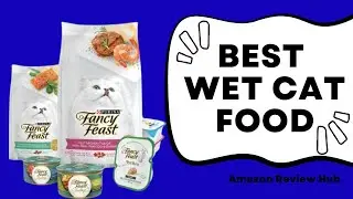 Best Wet Cat Food 2025: Top 5 Wet Cat Food Reviews