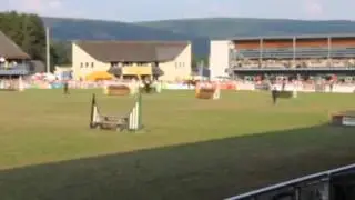 Killinick Harriers Winning The Royal Welsh Show 2014