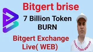 Bitgert 7 Bn Token Burn || Bitgert Exchange Live || Crazy crypto MINTOO
