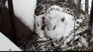 Time lapse of Big Red During a Snowstorm, April 18, 2018