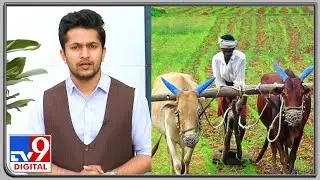 Budget 2021: Here are the key allocations in the Agri sector