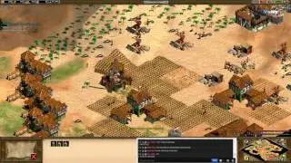 AOE HD, 1v1 Arab vs 195++