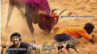 ஜல்லிக்கட்டு களம் #live #Allinallalgates