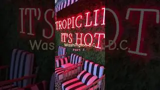 Fun things to do in Washington DC #shorts #short #happy #vibes #relaxing #cool