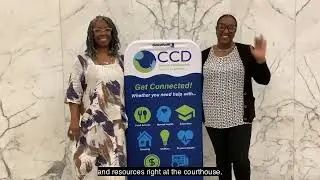2023 Rochester Area Community Foundation Year in Review