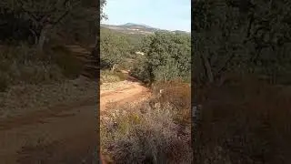 Bonito lance a conejo en cortadero