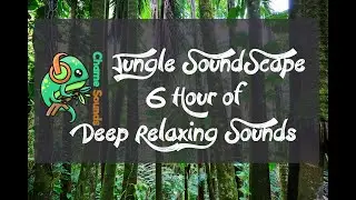 🎧 6 H Exotic Jungle Soundscape 🔥 Sounds for Relaxation, Meditation and Deep Sleep
