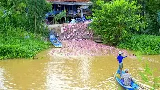 Vietnam motorcycle tours - Experience Mekong delta with Saigon Riders