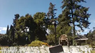 Rachel and Tyler's Wedding. (3 PM start)