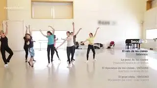 Flashmob inclusivo: Coreograf&iacute;a intermedia | Teatro Real 200 a&ntilde;os 17/18