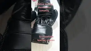 boxing gloves company  | Leather gloves collection | Professional boxing gloves | lifeline boxing