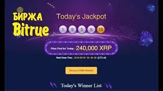 XRP от биржи Bitrue 🔘 ▪ #461