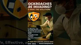 Trans Pest.. #insects #pestcontrol #pestsolutions #pestsolutions #pestprevention