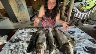 Pescaria no açude: peixes MORRENDO por falta de OXIGÊNIO 