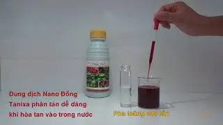 Fungy Max Nano Dong Tanixa final