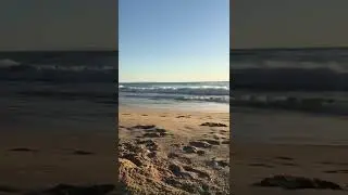 Golden hour on Playa del Rey beach with a brief, tiny cameo by a jet departing LAX. Do you see it?