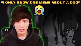 NOT THE DOG MEME! Sykkuno WANTS TO WATCH FULL METAL ALCHEMIST BROTHERHOOD LIVE ON STREAM WITH CHAT!?
