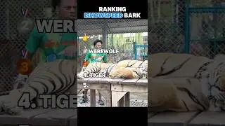 😂 Funniest IShowSpeed Barks 🐶