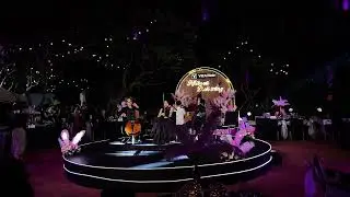 LEMON TREE | ACOUSOULS BAND HO&Agrave; TẤU