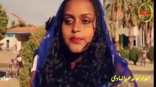 فيديو كليب | الفنان تاج الدين البمبى| اغنية سودانية صــدفــــة لاقـيـت الـحـبـيـب