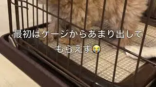マルプーのくう。