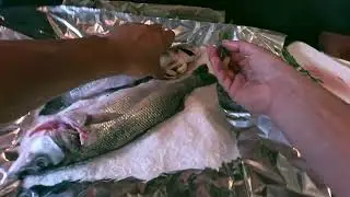 How to Prepare Salt-Crusted Fish